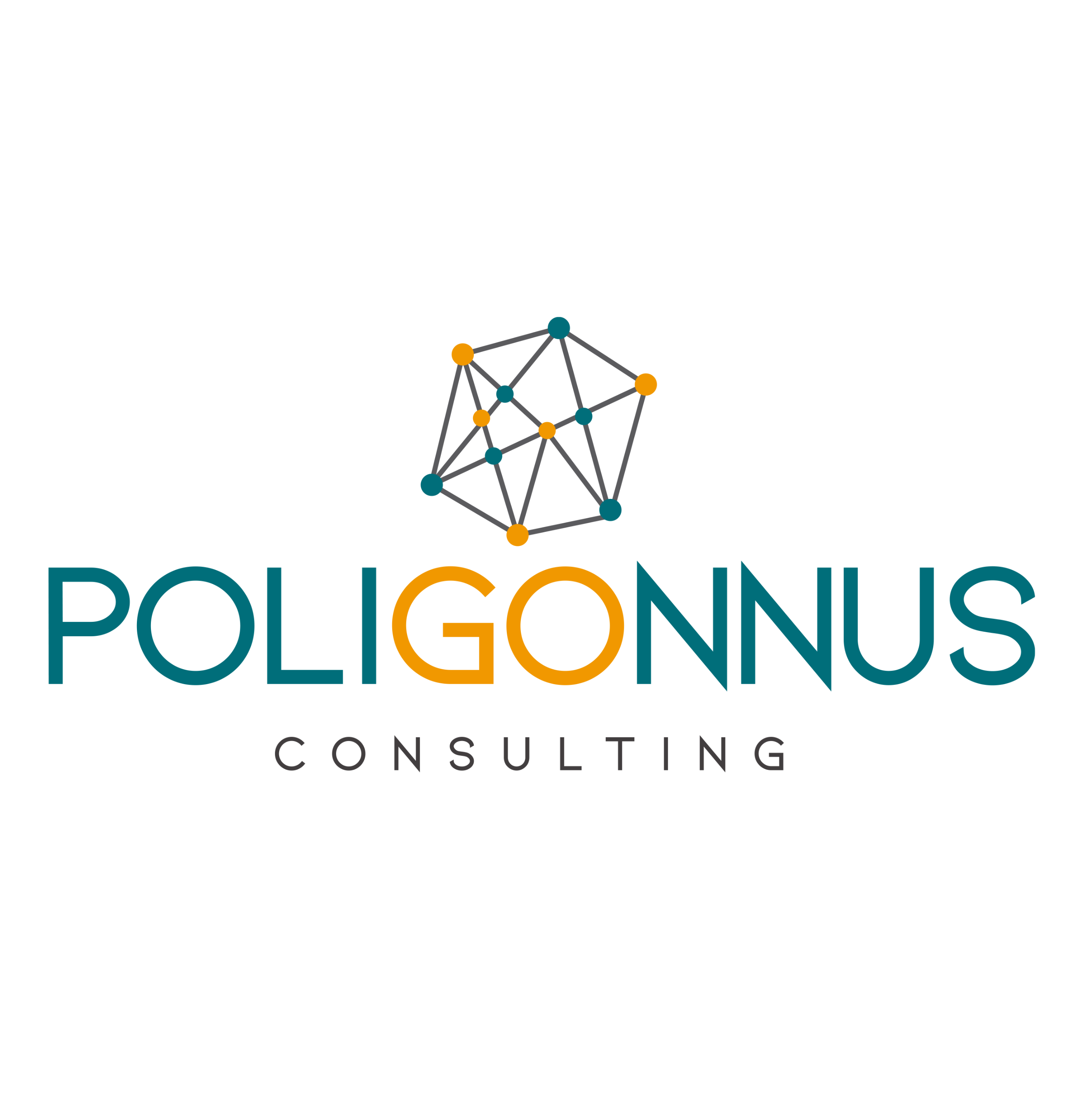 poligonnus2